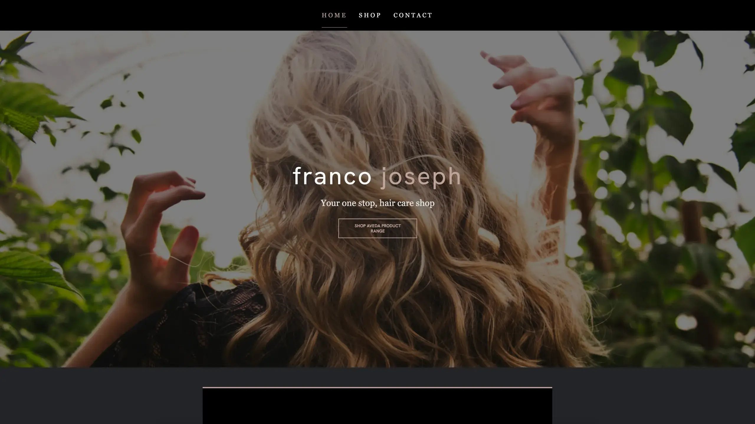 Franco Joseph - Website Project